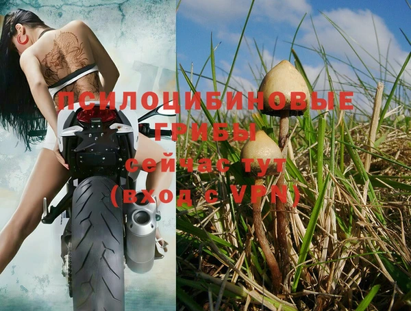 марки nbome Магадан