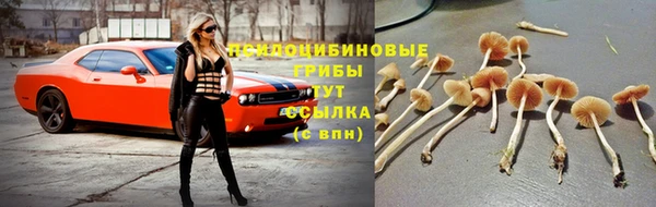 герыч Алексеевка